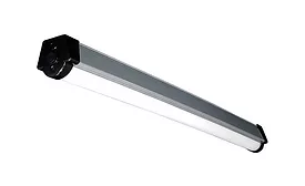 Lumenfocus EVT
