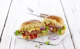 Hydrosol veggie burger