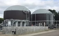 Centrysis digestor Centrysis digestor