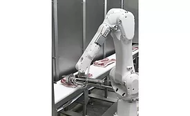 Frontmatec rib puller