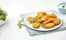 Hydrosol plant nuggets