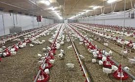 Cumberland Poultry litter safety