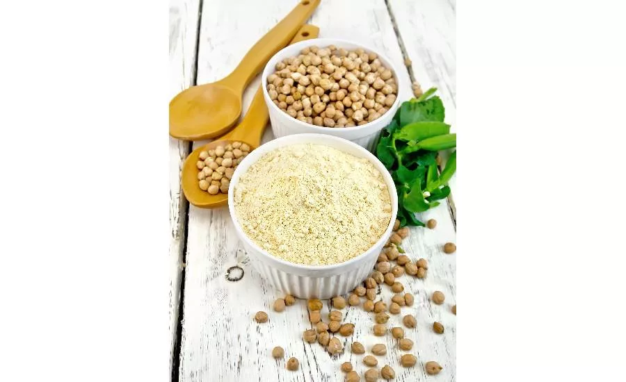 ChickP protein