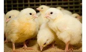 Inteprity, for extended feeding programs