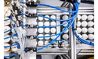 Evonic egg gender testing Evonic egg gender testing