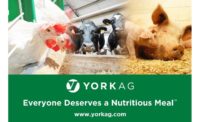York Ag website