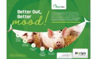 Biorigin animal gut health
