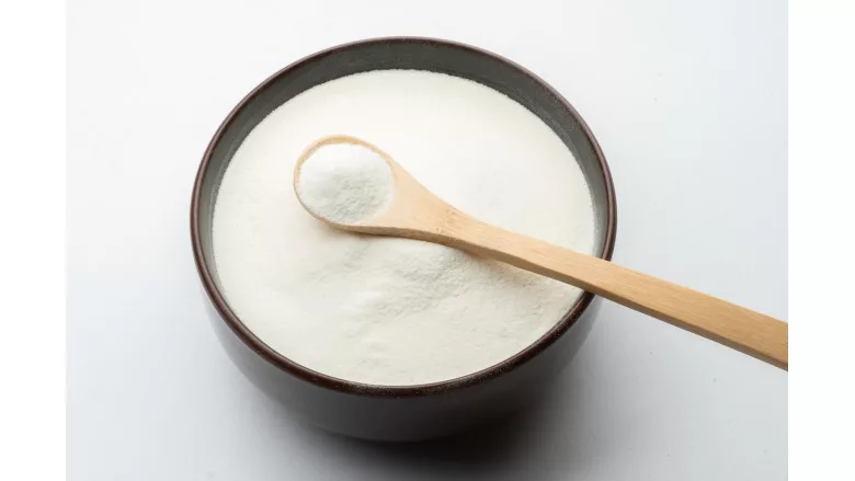 Rousselot adds porcine collagen production line at flagship Ghent facility