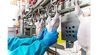 bioMérieux introduces GENE-UP QUANT Salmonella bioMérieux introduces GENE-UP QUANT Salmonella