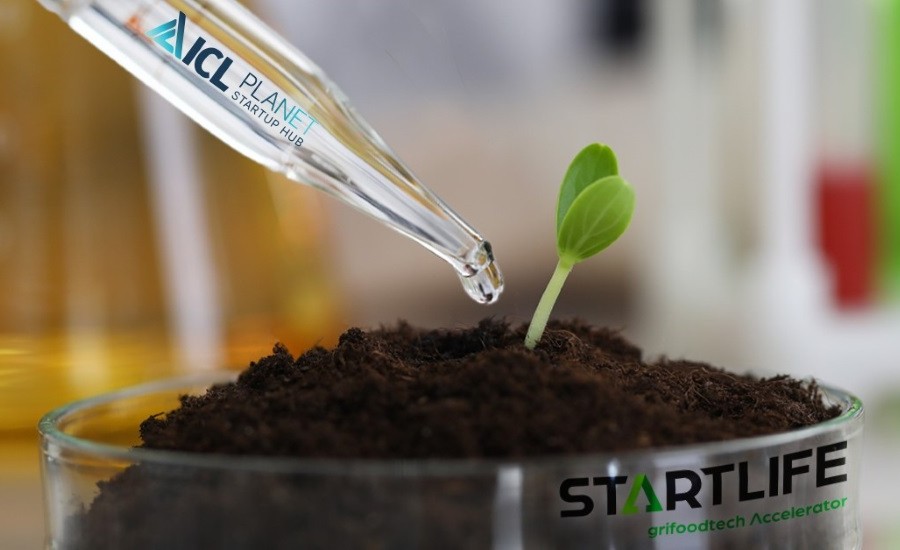 ICL Planet Startup Hub to partner with StartLife