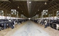 Bion, Ribbonwire Ranch announce agreement to build sustainable beef cattle feeding operation