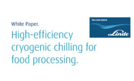 Linde - Cryogenic Chilling for Food Processing white paper 900.jpg