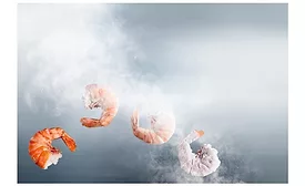 Linde IQF shrimp seafood cryogenic freezing 900.jpg