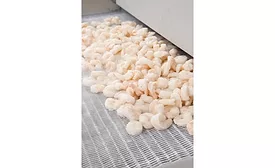 Linde - IQF Shrimp exiting CRYOLINE freezer 900.jpg