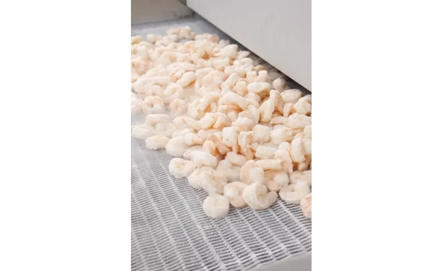 Linde - IQF Shrimp exiting CRYOLINE freezer 900.jpg