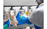 acm-eh-hanging-900.jpg