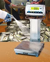 Alliance Scale checkweigher