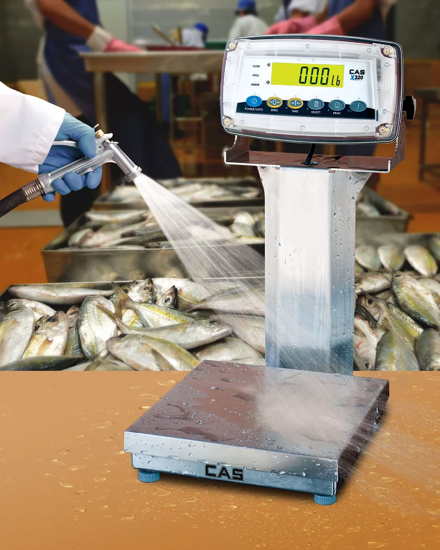 Alliance Scale checkweigher