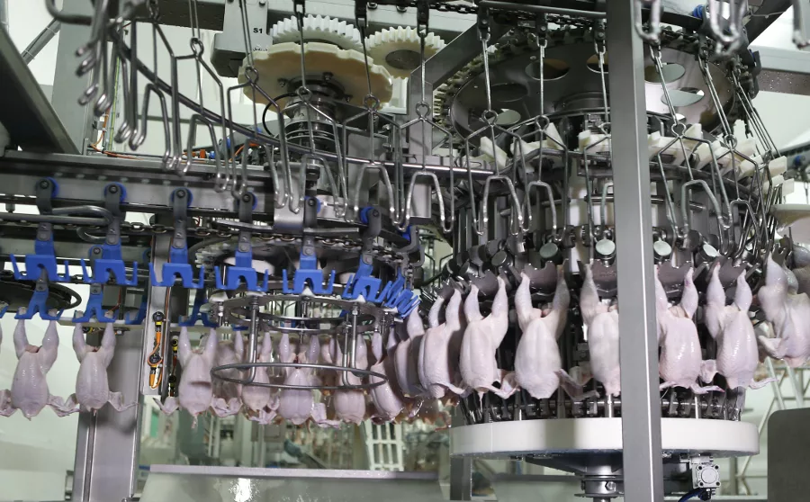 Marel Poultry LineLink