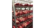 Buckhead Beef