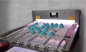 Carnivore Meat masks