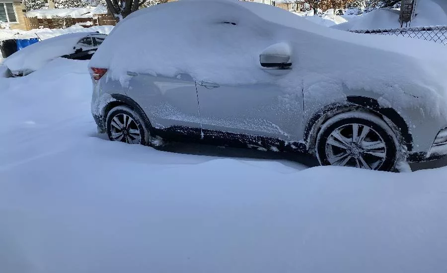 snow pic