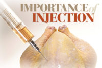 Injection in Poultry