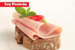 Solbar protein