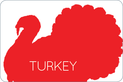 turkey_feat.jpg
