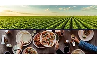 ADM, Benson Hill collaborate to scale protein soy for North American food ingredient markets ADM, Benson Hill collaborate to scale protein soy for North American food ingredient markets