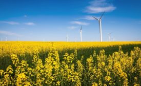 Meijer invests in wind energy center