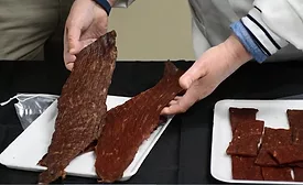 Jerky